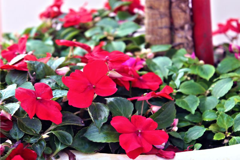 Salón A con sillones cómodos y office para servicios